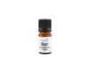 Ginger Essential Oil (Root)