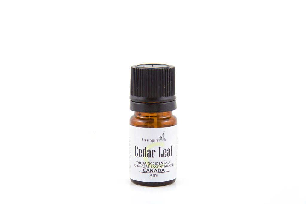 Cedar Leaf Essential Oil