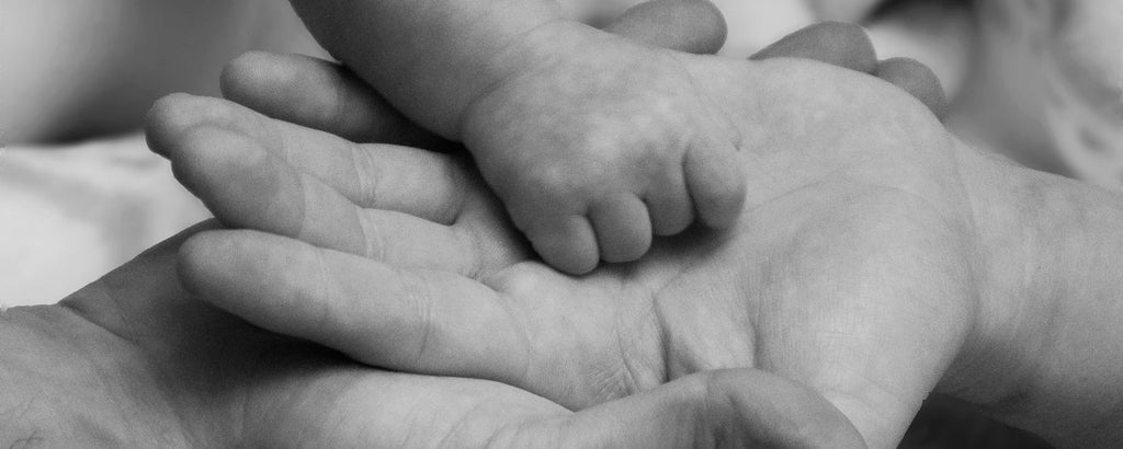 Organic Hand and Foot Creams