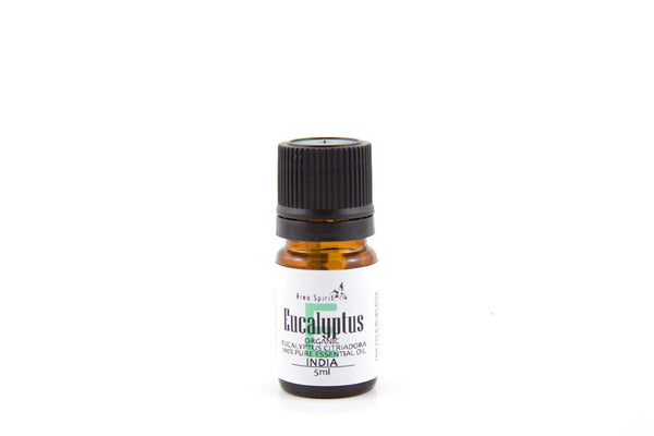 Eucalyptus Organic Essential Oil (Cirtriadora)