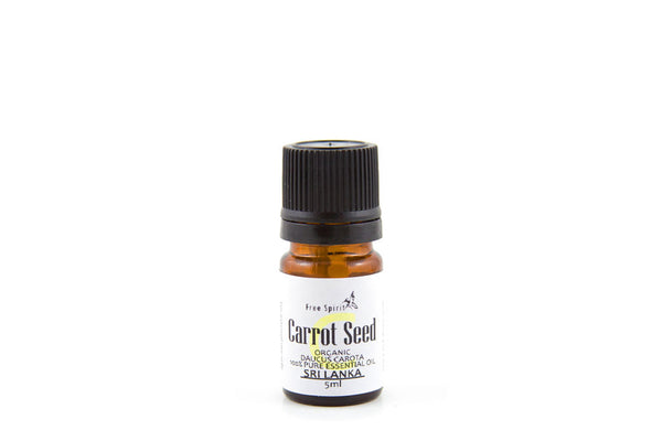 Carrot Seed Essential Oil